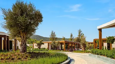 Voyage Torba