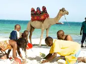Voyager Beach Resort