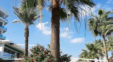 Vrissaki Beach Hotel