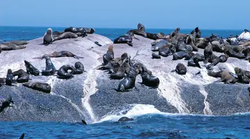 W cieniu Góry Stołowej - RPA