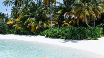 W MALDIVES