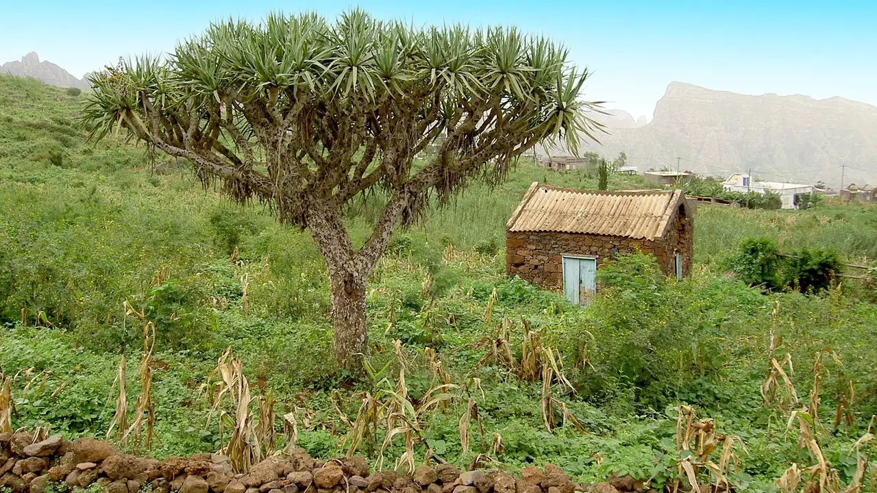 W Sercu Cabo Verde