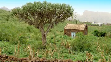 W Sercu Cabo Verde