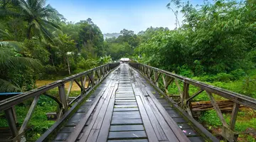 W Sercu Natury: Langkawi i Borneo