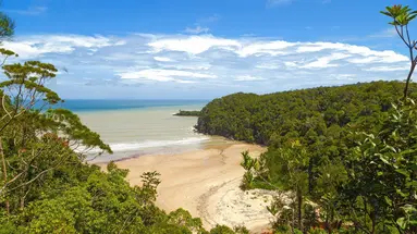 W Sercu Natury: Langkawi i Borneo
