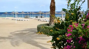 WADI LAHMY AZUR RESORT