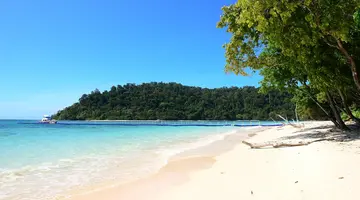 Wakacje Pod Palmami! Bangkok I Koh Lanta