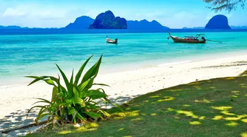 Wakacje Pod Palmami! Bangkok I Koh Lanta