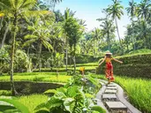 Wakacje Pod Palmami! Boskie Bali
