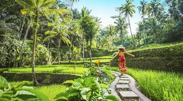 Wakacje Pod Palmami! Boskie Bali