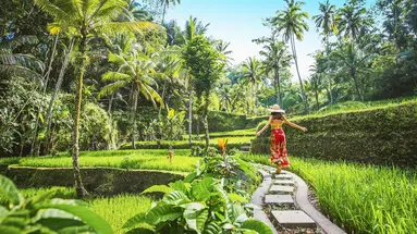 Wakacje Pod Palmami! Boskie Bali