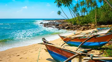 Wakacje Pod Palmami! Cejlon + Hotel Club Dolphin