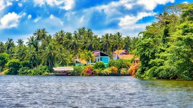 Wakacje Pod Palmami! Cejlon + Hotel Earl’S Regent Negombo