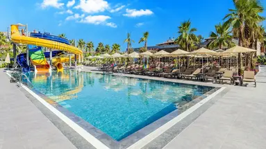 Washington Resort & Spa