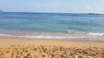Wave Beach Resort