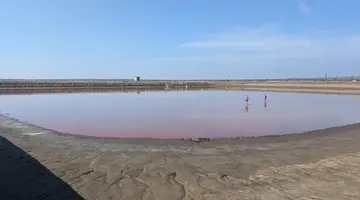 Wave Resort