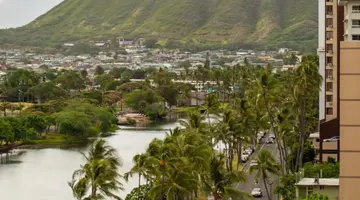 Wayfinder Waikiki