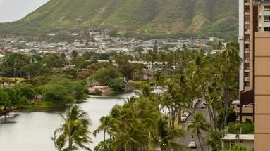 Wayfinder Waikiki