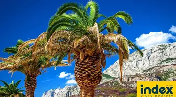 Wczasy w Chorwacji - Makarska - Ville *** - Autokar HB