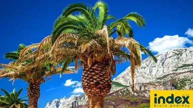 Wczasy w Chorwacji - Makarska - Ville *** - Autokar OV