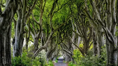 Weekend w Irlandii