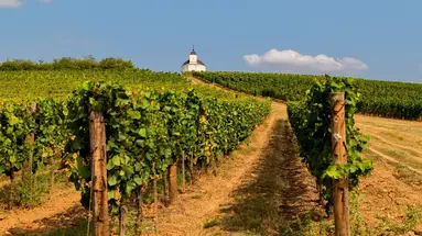 Węgry - Tokaj, czardasz i termy