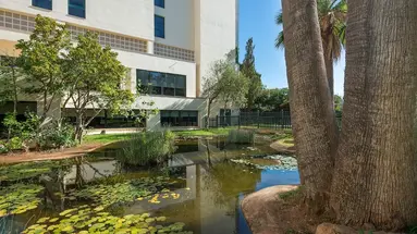 Welikehotel Marfil Playa