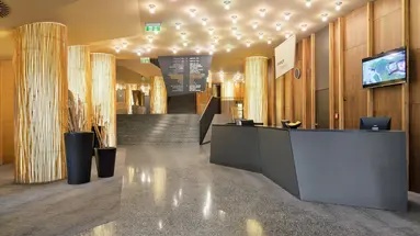 Wellness Hotel Sotelia - Terme Olimia