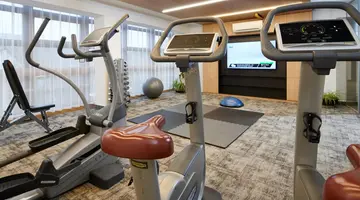 Wellness Hotel Svornost
