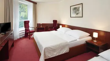 Wellness Hotel Svornost