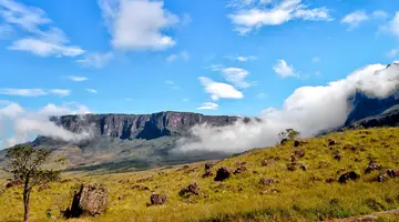Wenezuela - na dzikim zachodzie