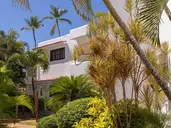 WHALA BAVARO