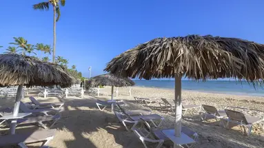 Whala!bavaro