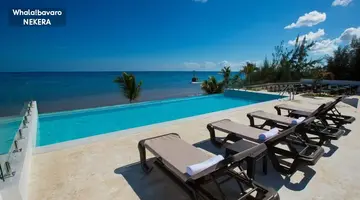 whala!bávaro