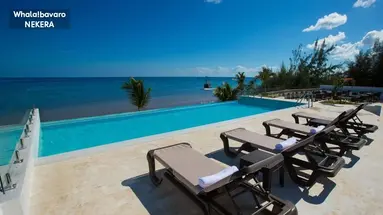 whala!bávaro