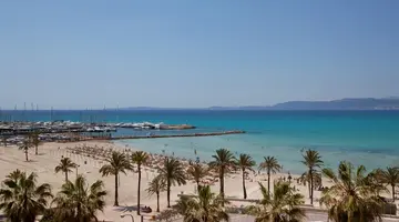 WHALA BEACH