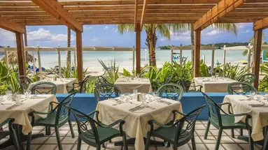 Whala!bocachica