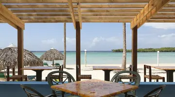 Whala!bocachica