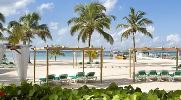 Whala!bocachica
