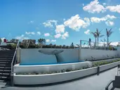 Whales Bay Hotel Apartamentos
