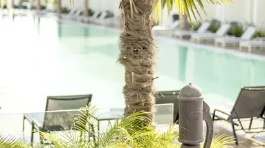 White Dreams Resort
