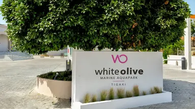 White Olive Marine Aquapark