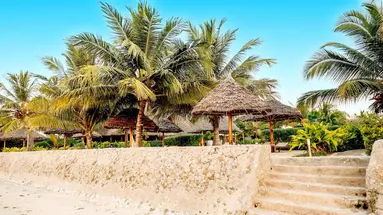 White Paradise Zanzibar
