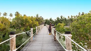 White Paradise Zanzibar