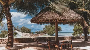 White Paradise Zanzibar