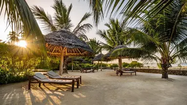 White Paradise Zanzibar
