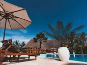 White Paradise