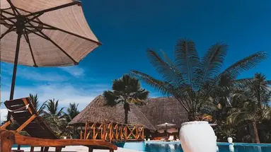 White Paradise