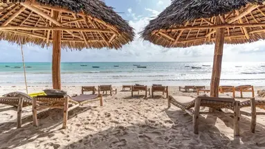 White Paradise