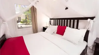 White Paradise